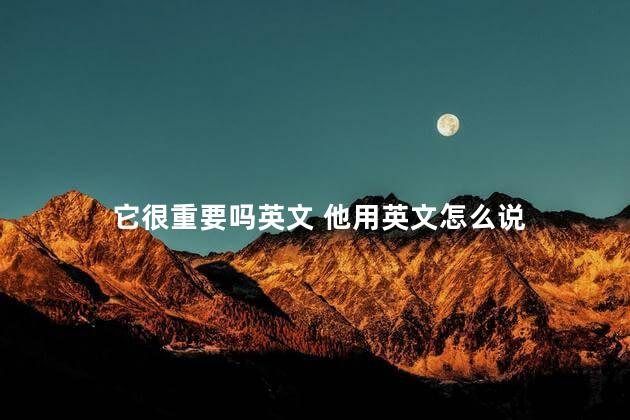 它很重要吗英文 他用英文怎么说